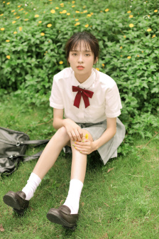 排球少年四季在线观看免费